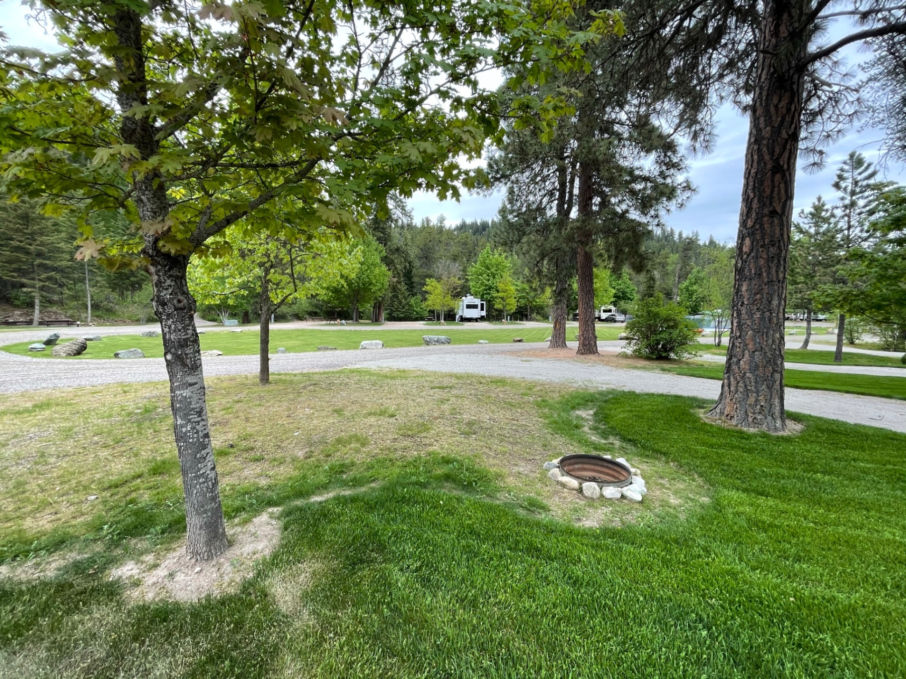 Stone-ringed fire pit on a grassy site framed by ponderosa pines with RVs in the distance