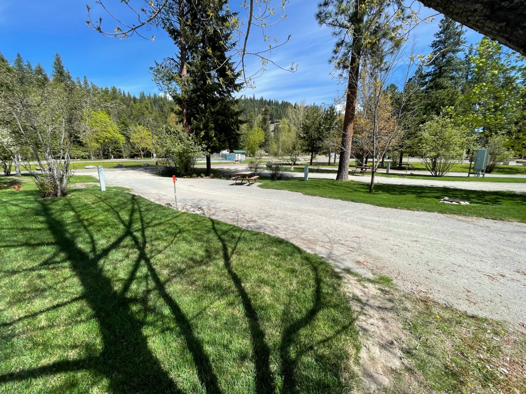 Wide view of the campground grounds, gravel roads and open green space framed by trees