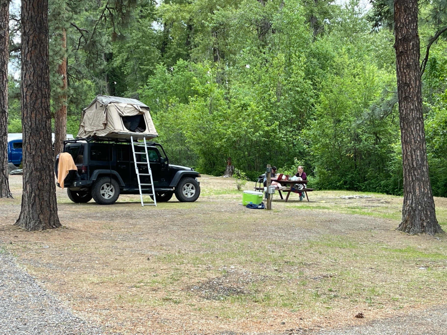 Jeep Wrangler with a rooftop tent set up beside a picnic table in a wooded tent site