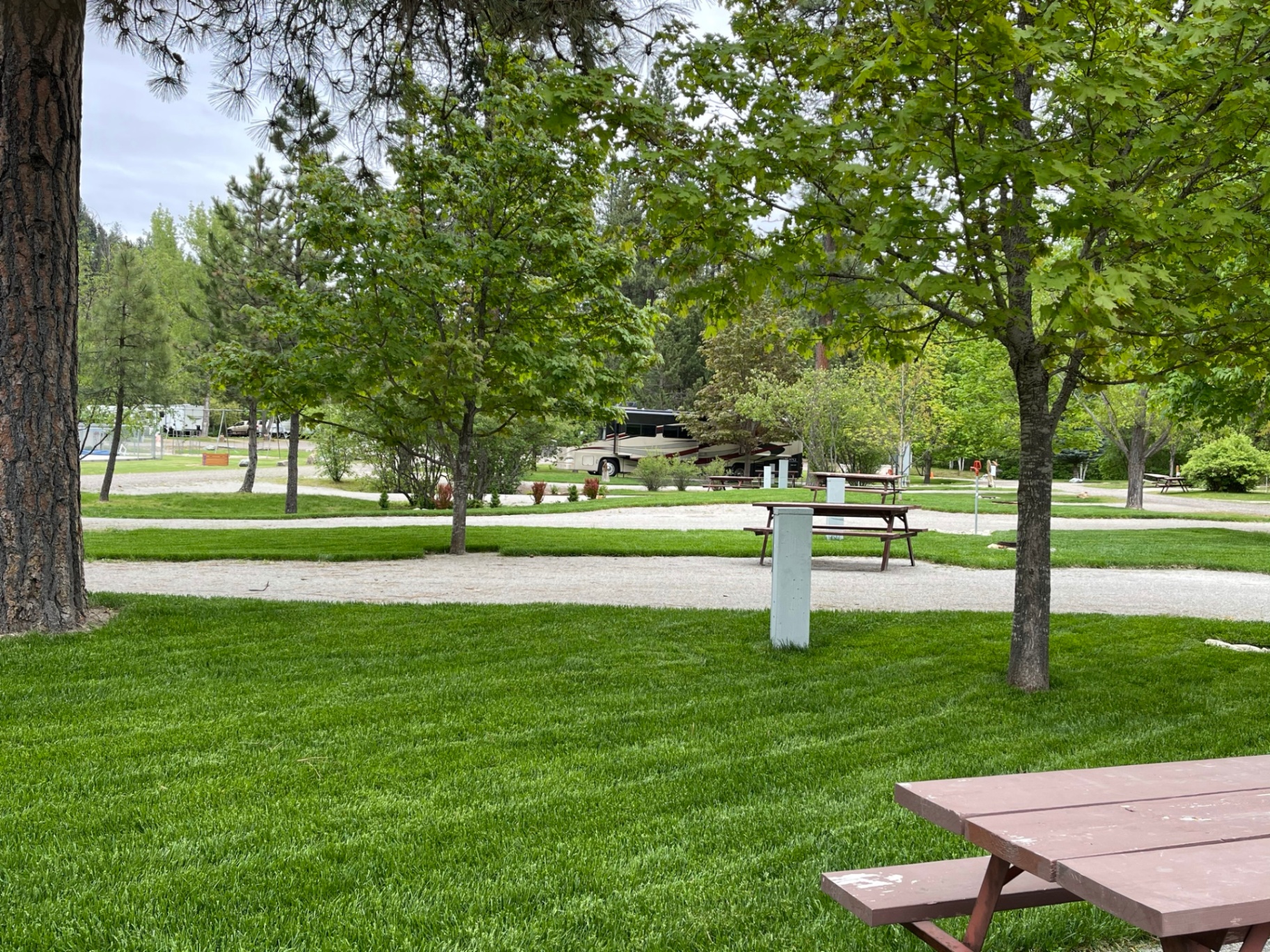 Open green lawns with picnic tables under tall pines and a motorhome in the background