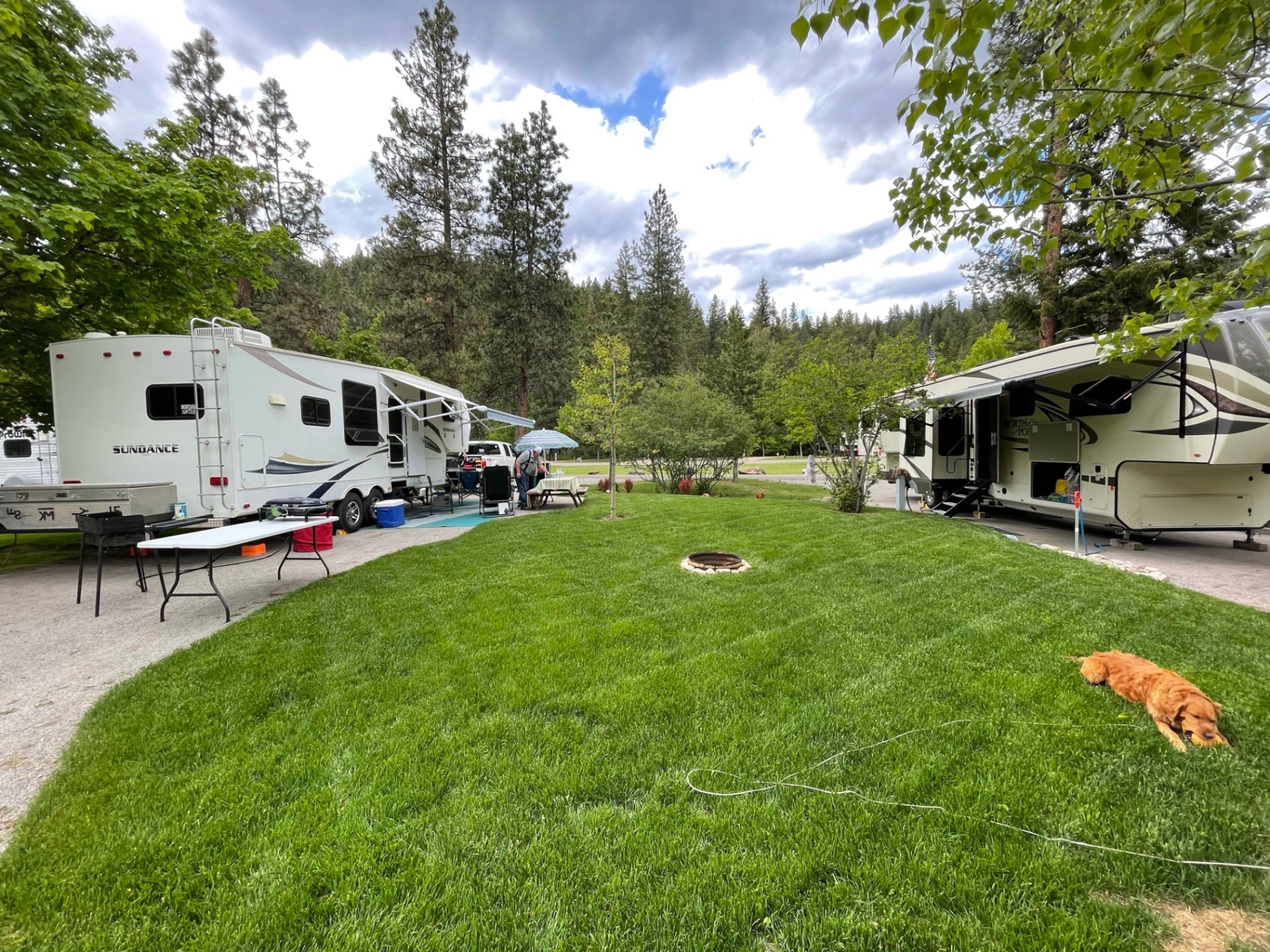 Two RVs parked on adjacent sites with a golden retriever resting on the grass between them