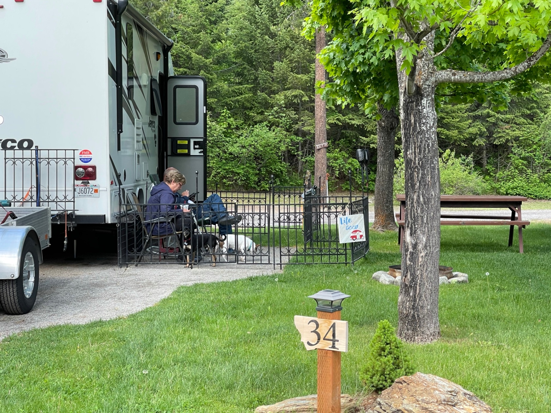 Guest relaxing outside their motorhome at site 34 with two dogs in a fenced patio area